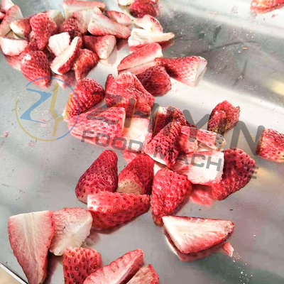 Produits alimentaires Fruits et légumes tranches Machine de séchage par congélation
