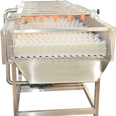 Machine à laver les fruits et légumes en acier inoxydable 220v