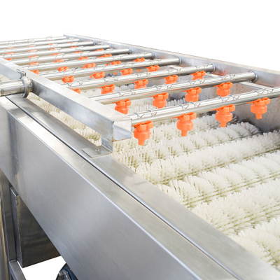 Machine à laver les fruits et légumes en acier inoxydable 220v