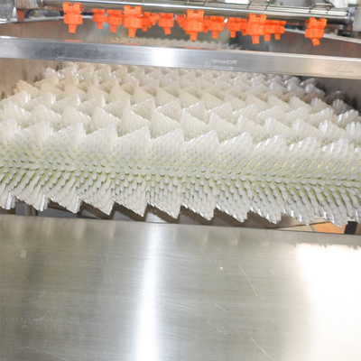 Machine à éplucher les légumes à la brosse