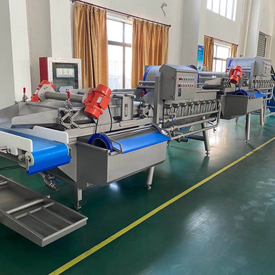 Machine à laver les légumes et les feuilles de fruits