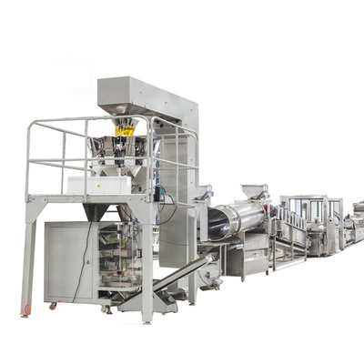 10m*2m*2m ligne de production de frites La solution parfaite pour votre entreprise