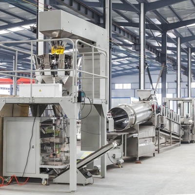 Ligne de production de frites glacées en acier inoxydable pour une efficacité accrue