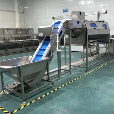 Ligne de production de frites personnalisées 60 unités par an Sortie pour 2-3 mm épaisseur de copeaux de banane