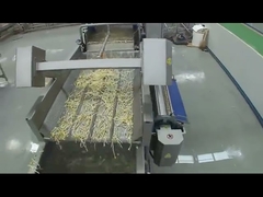 Vegetable vortex cleaning machine