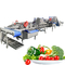 304 Ozone en acier inoxydable 2000 kg/h Machine à laver les fruits et légumes