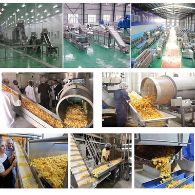 10m*2m*2m et ligne de production de frites surgelées personnalisables pour les frites